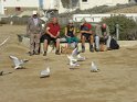 2017-09-30 13-02-15 Circuit Batz sur mer et Le Croisic MBo